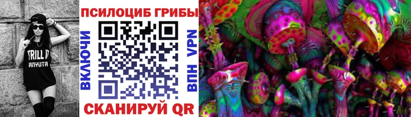 мега ТОР дарк нет официальный сайт Галлюциногенные грибы мухоморы как найти закладки Отрадная